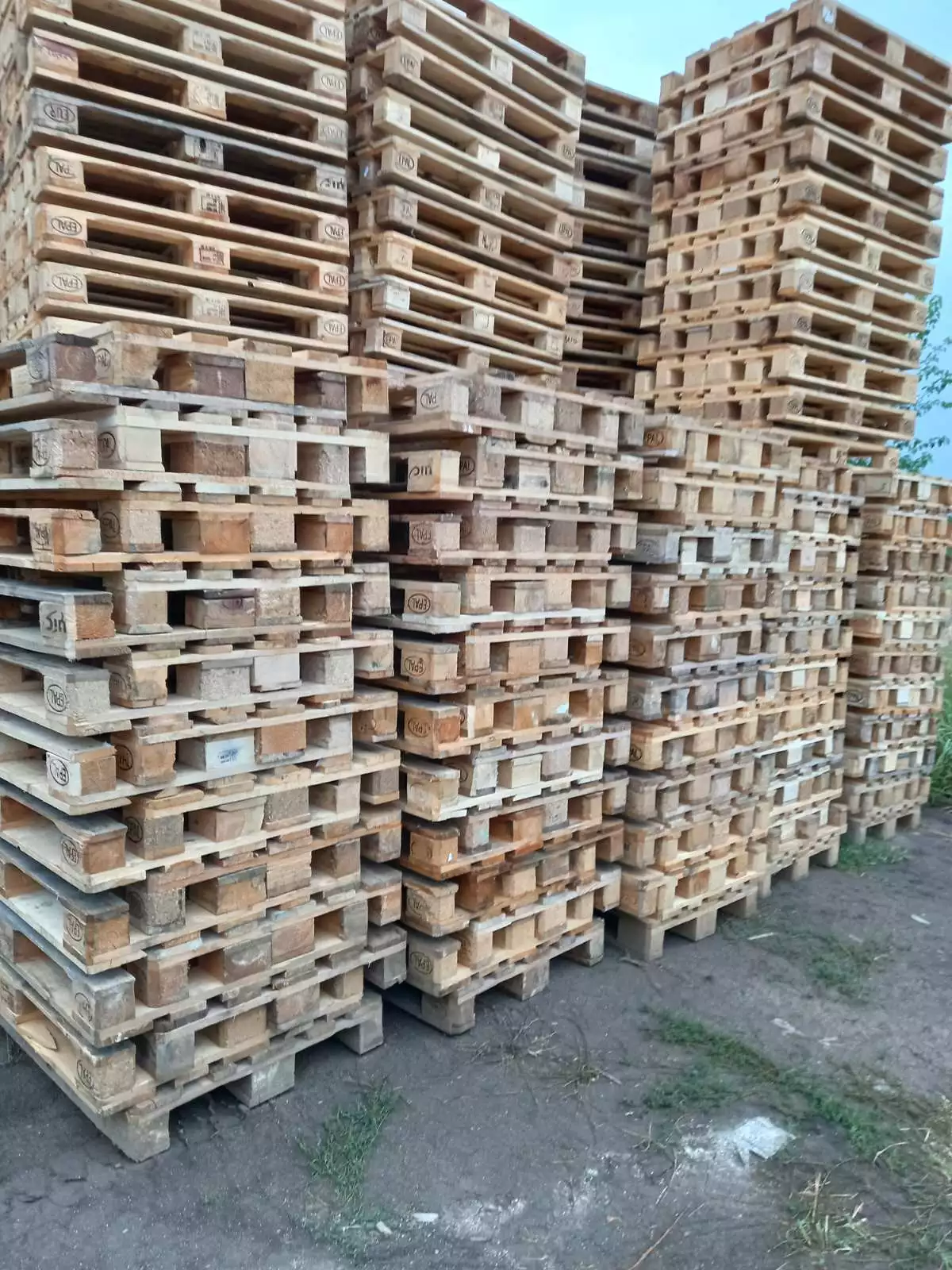pakovanja paleta